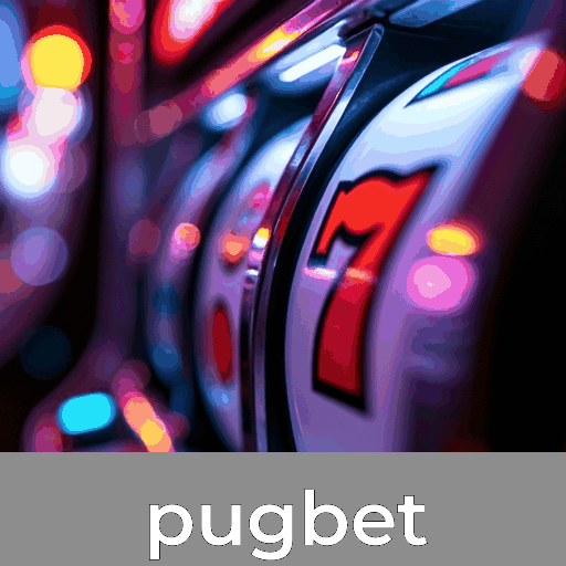 Pugbet: A Plataforma de Apostas com Serviços Profissionais